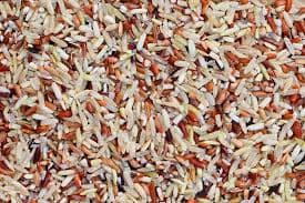 Thai Jasmine Rice Black/Purple